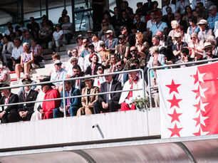 Das Eidgenössische Tambouren- und Pfeiferfest 2027 in Visp bekommt ein Gesicht