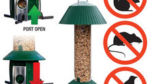 Oakthrift Launches New Squirrel Proof Bird Feeder
