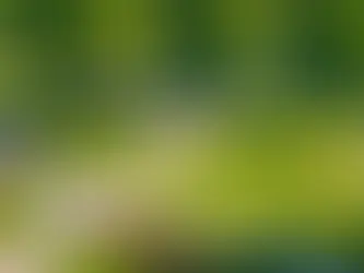 Interview Question and Answers for the role of Social Media Content Strategist at TikTok