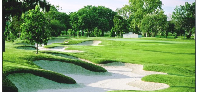 skylinks course 1.jpg