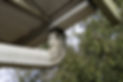 gutters 5-signs-your-gutters-need-to-be-replaced_orig.jpg