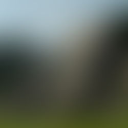 Palenque Pyramid Mexico