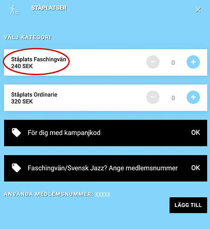 biljett2.jpg