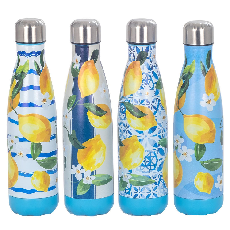 Bouteille isotherme inox décor citrons 500ml (4 décors différents) marque Signes Grimalt