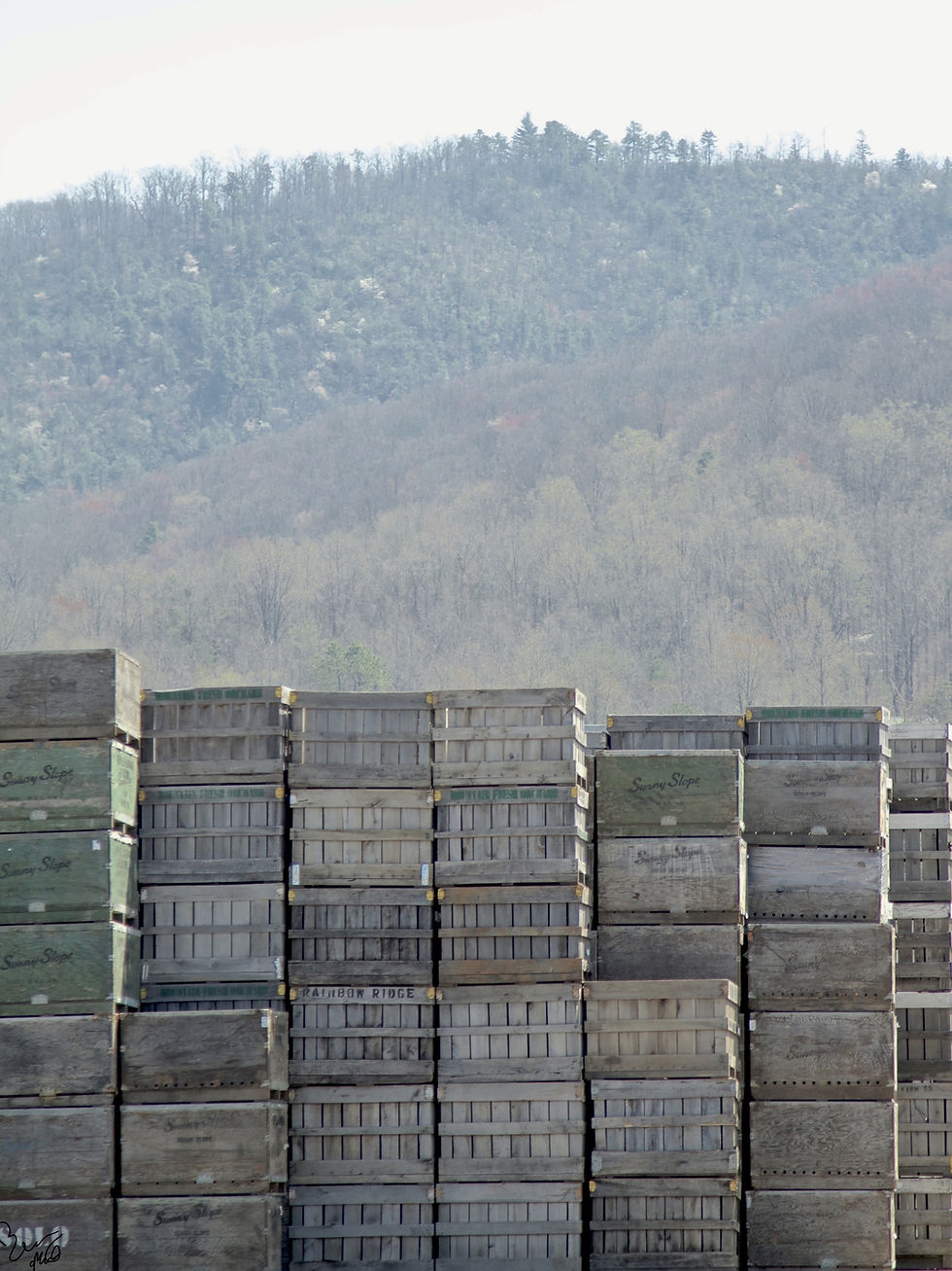 Apple Crates.jpg