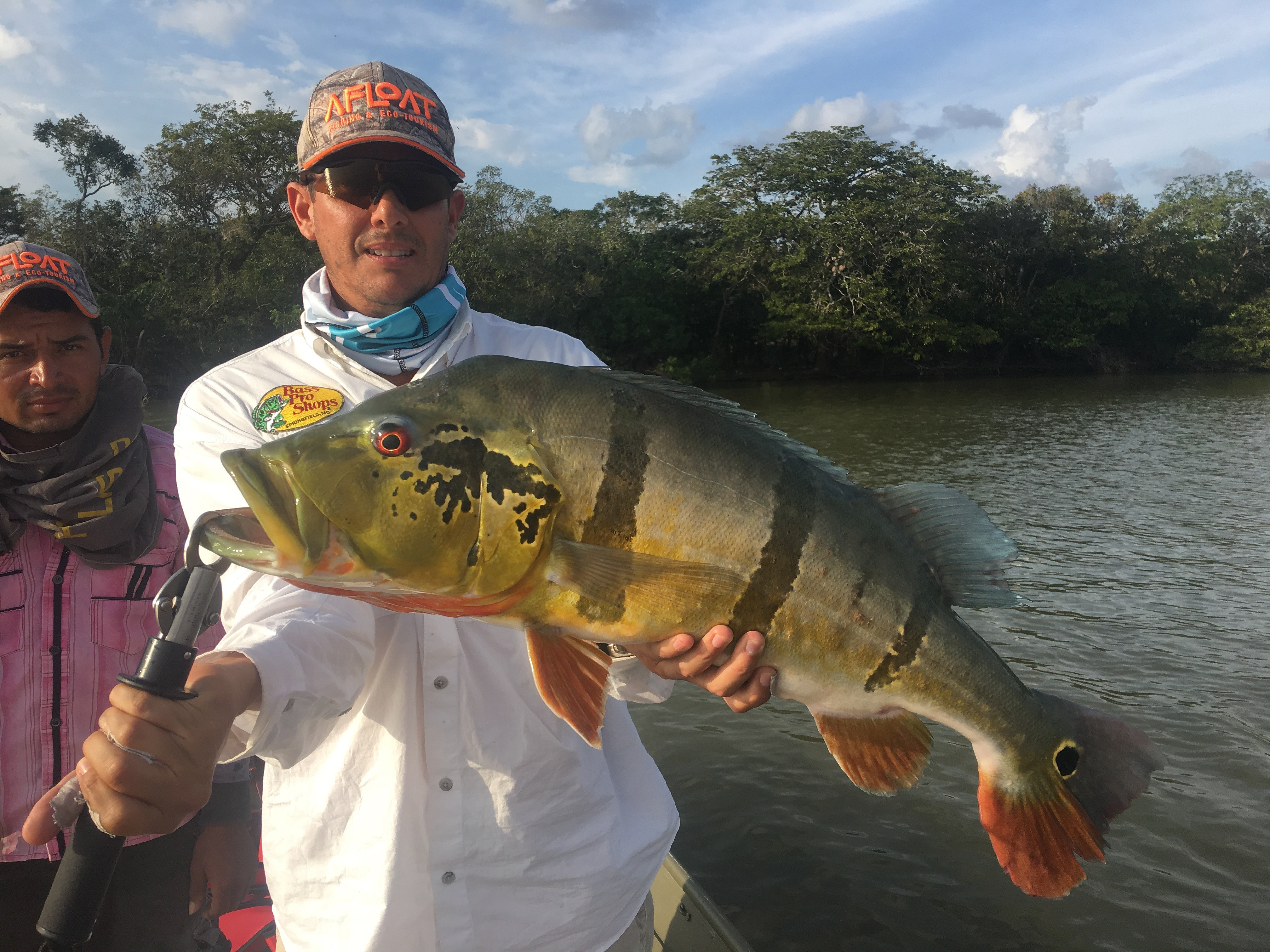 Peacock Bass Fishing Trips | AFLOAT Fishing | Afloat ...