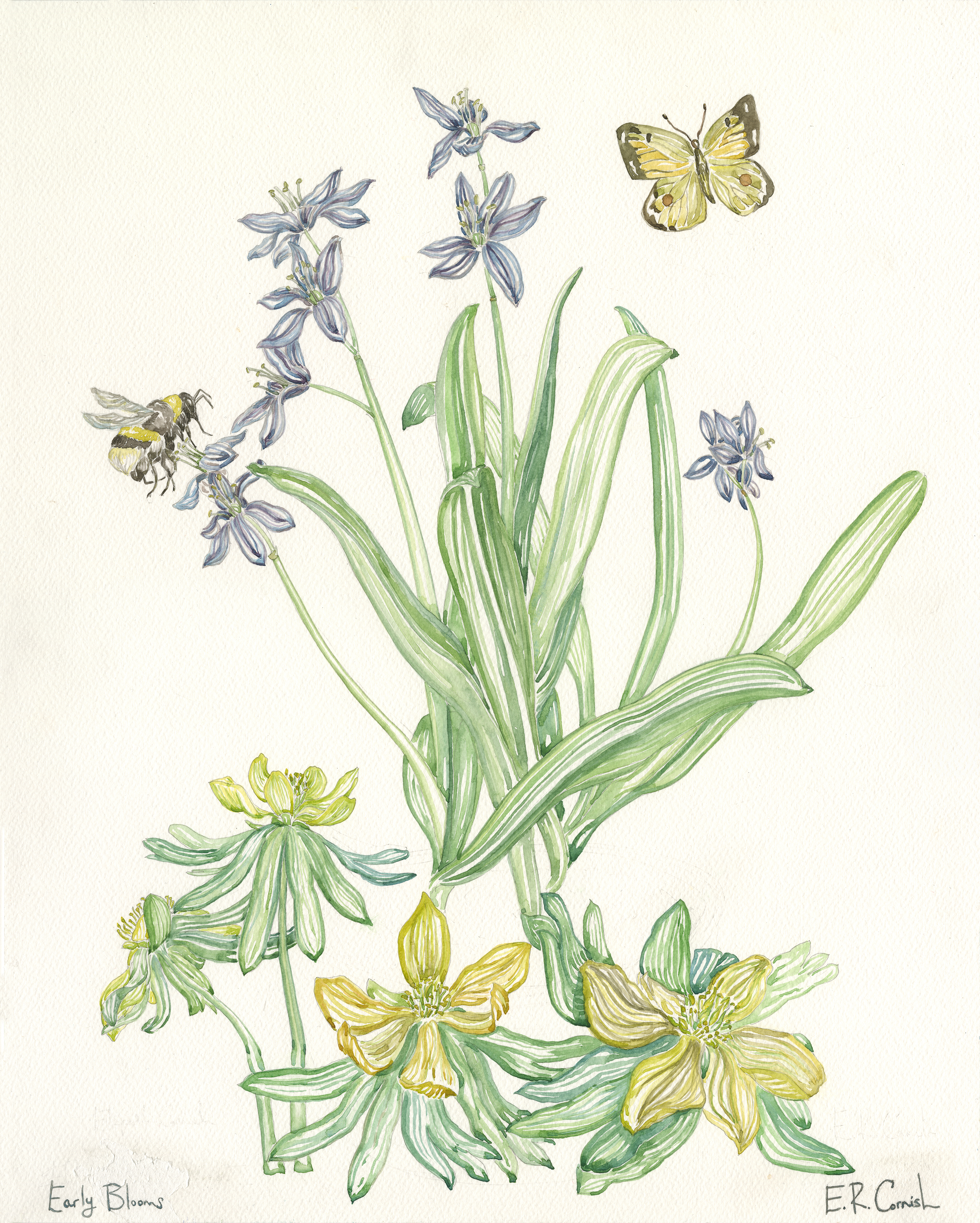 Early Blooms
