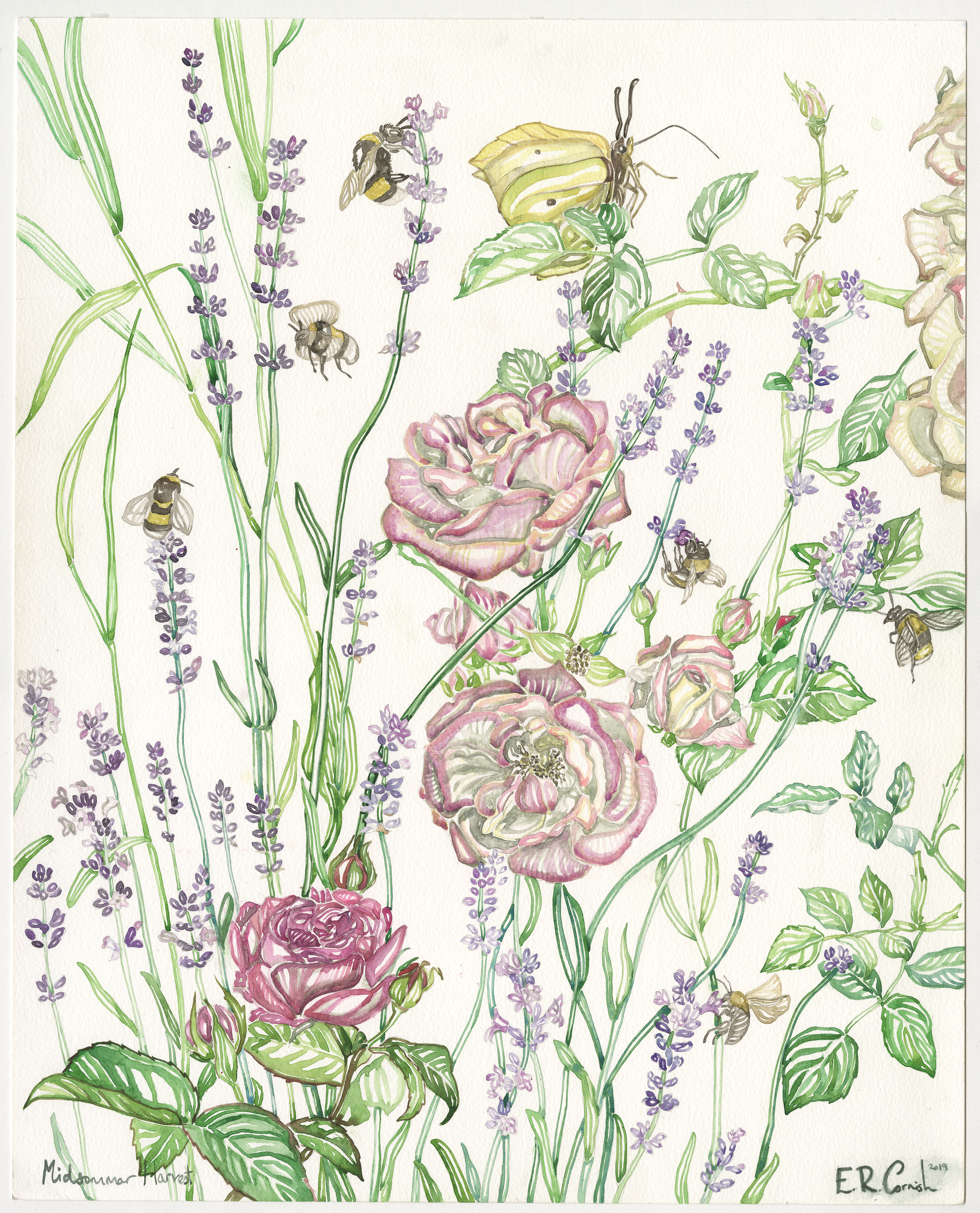 Midsummer Harvest