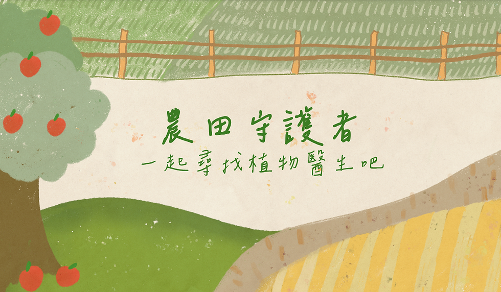 螢幕擷取畫面 2024-06-17 165513.png