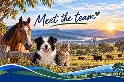 Meet the team