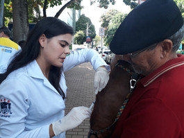 Prefeitura do Recife inicia vacinação antirrábica pela Boa Vista e Encruzilhada