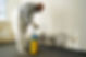 Mold-Remediation.jpg