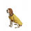 Thumbnail: Water Resistance Raincoat by Joules