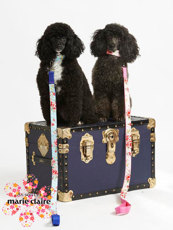 Thumbnail: Pink Vintage Collar