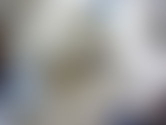 Hund-Mensch Kommunikation: passen Hunde ihr Blickverhalten an, je nachdem, wer verantwortlich dafür ist, dass ihre Belohnung verschwunden ist?