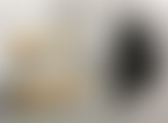 Der Blick zurück – Hilfesuche oder Aufgeben? Neues zur Hund-Mensch Kommunikation