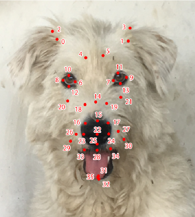 Quelle: Martvel & Riemer (2025) Sci Rep 15, 32331 (2025). CC-BY https://creativecommons.org/licenses/by/4.0/