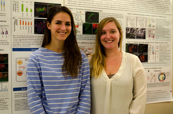 The Research Survival Guide: Q&A with Lylah Deady and Elizabeth (Liz) Knapp