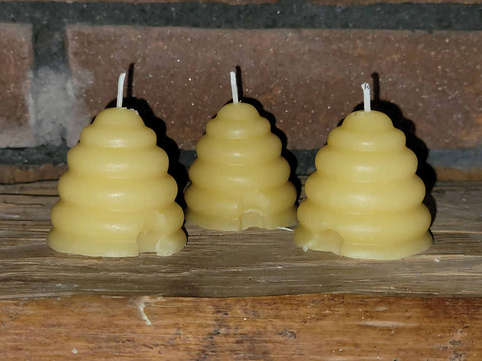 Thumbnail: Honey Beehive