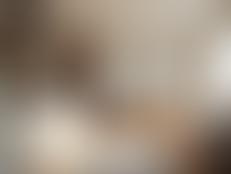 Essential Tips for Successful Home Renovation