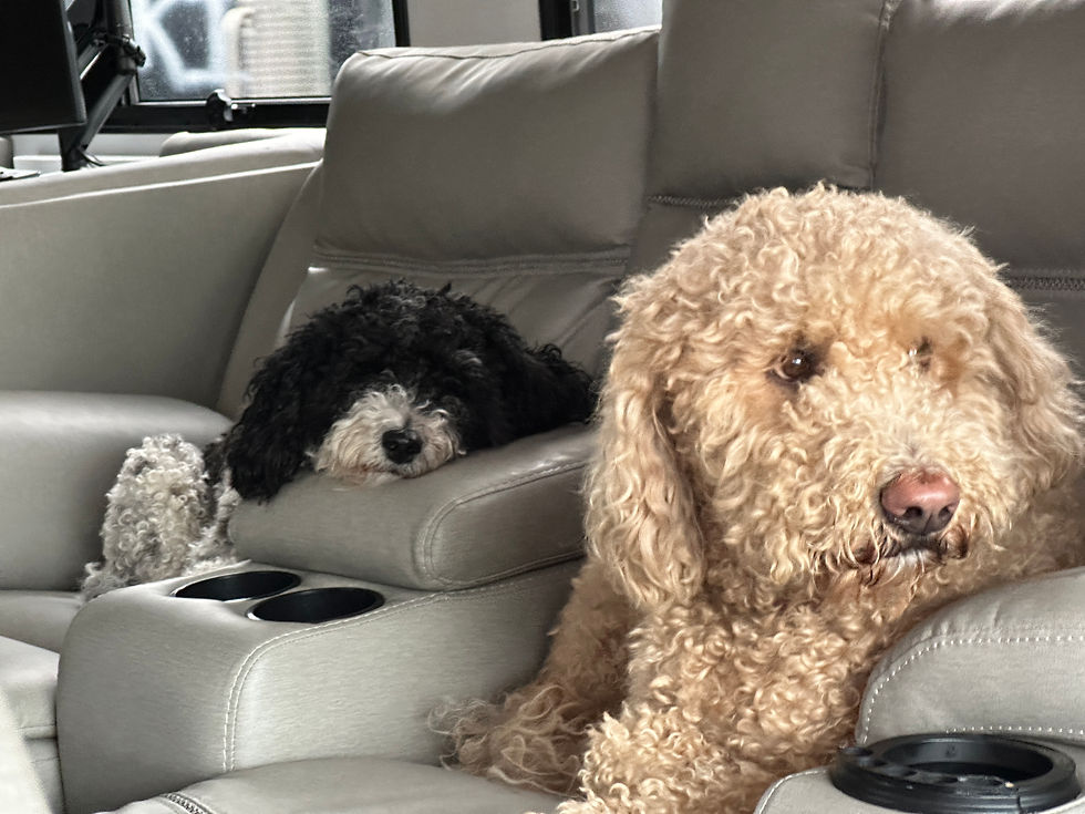 Smokies Adventure: Our Family RV Trip to Pigeon Forge Rod Run!