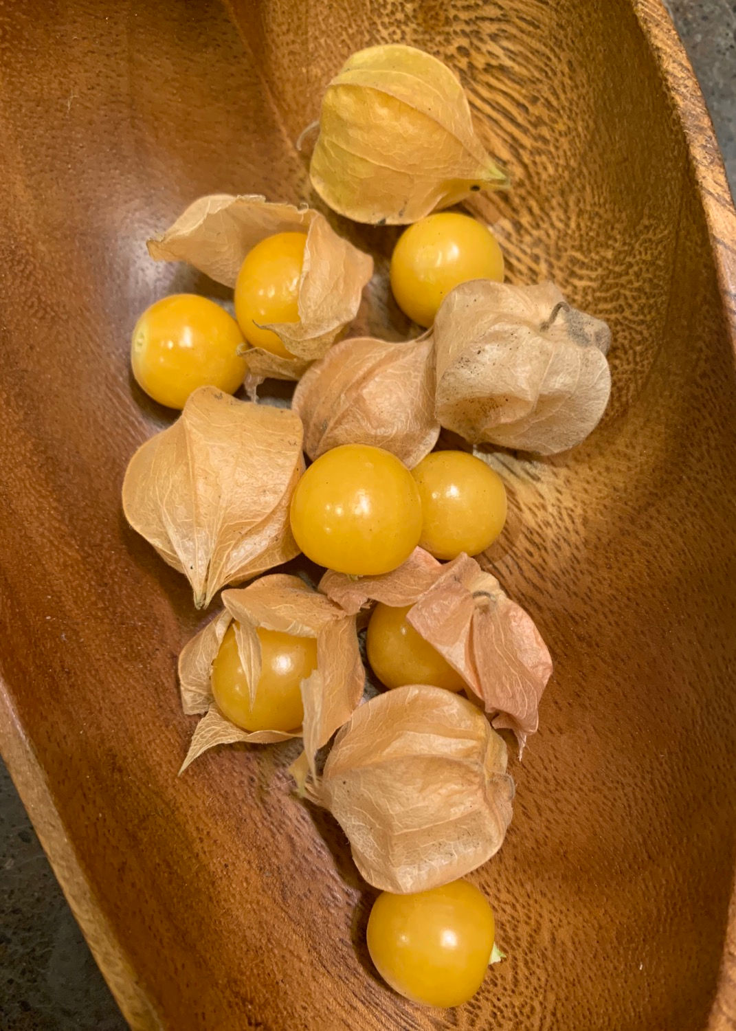 Ground Cherry
