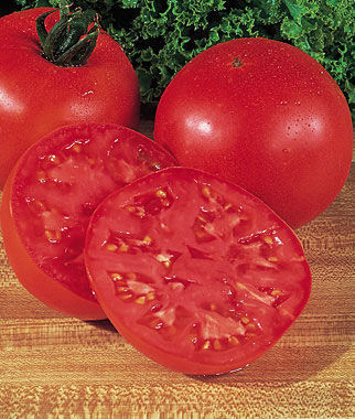 Tomato - Big Boy