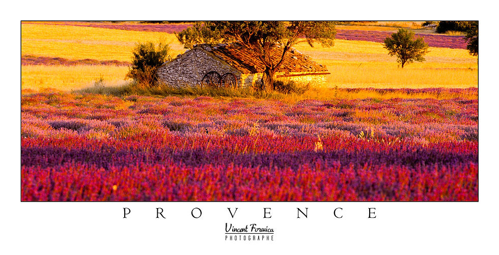 Carte Postale x 25 - Collection Provence Panoramique - Réf PP011