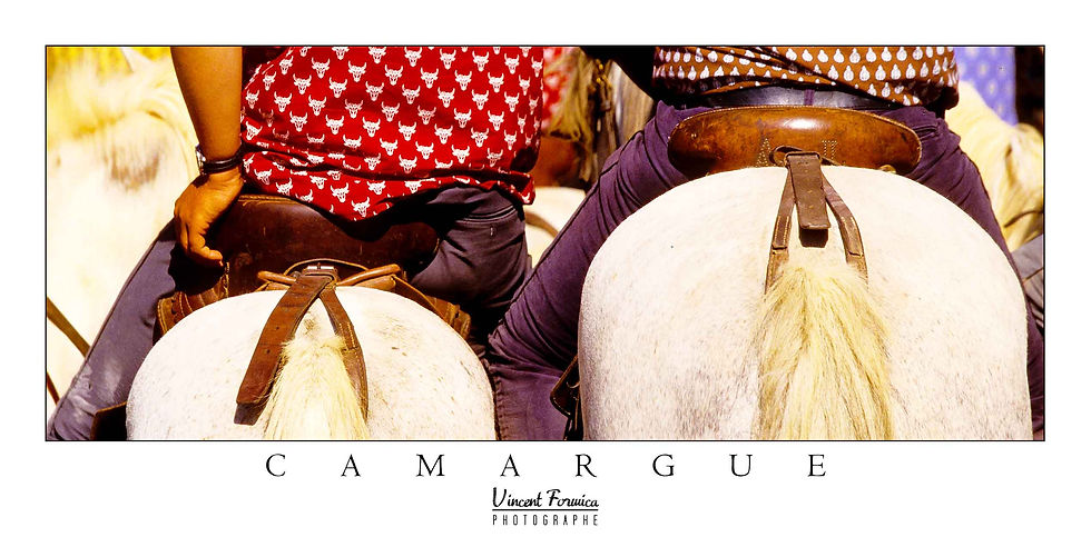 Carte Postale x 25 - Collection Camargue Panoramique - Réf CM013