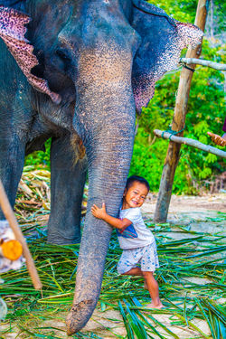 Thailande 00173