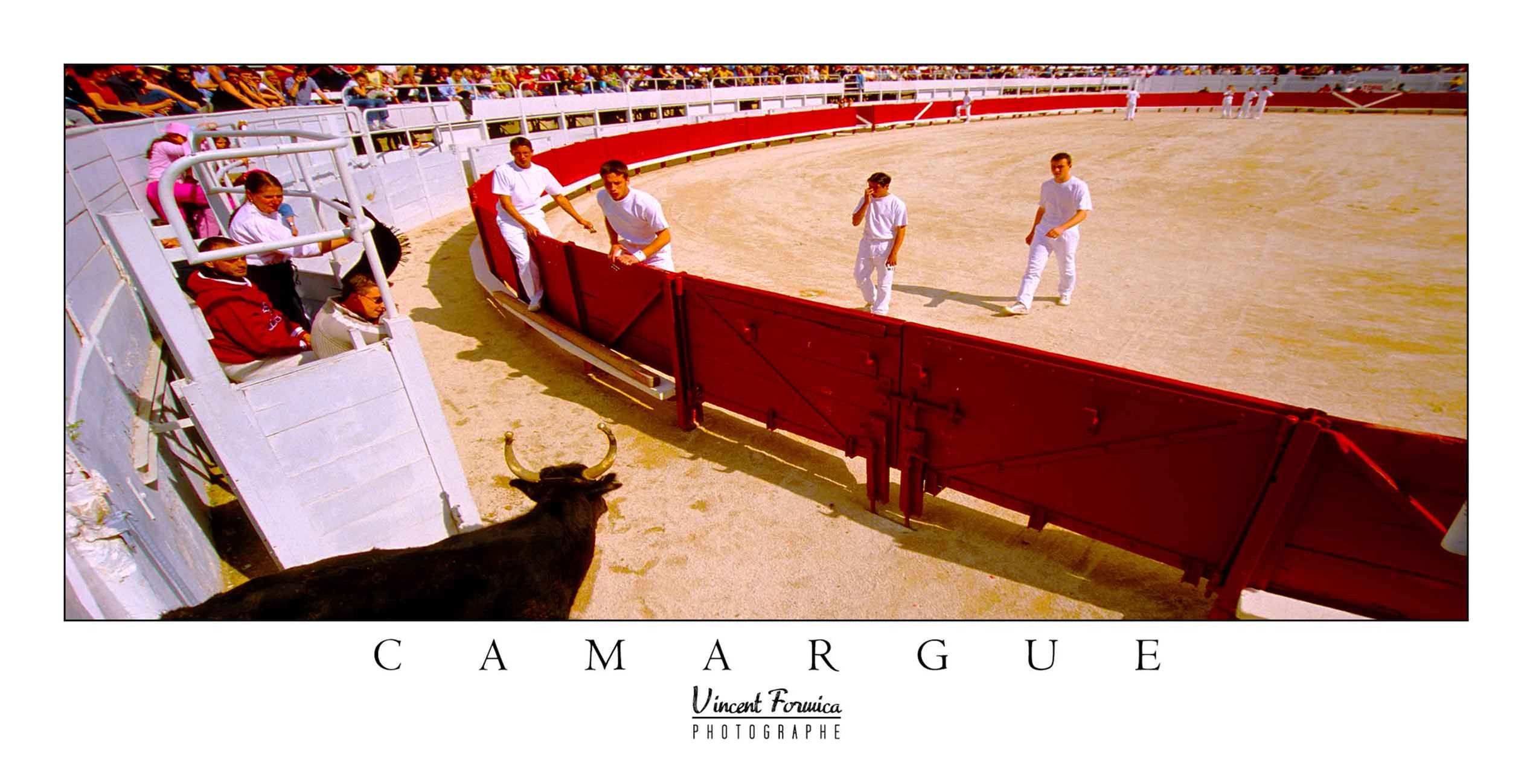 Carte Postale  x 25 - Collection Camargue Panoramique - Réf CM043