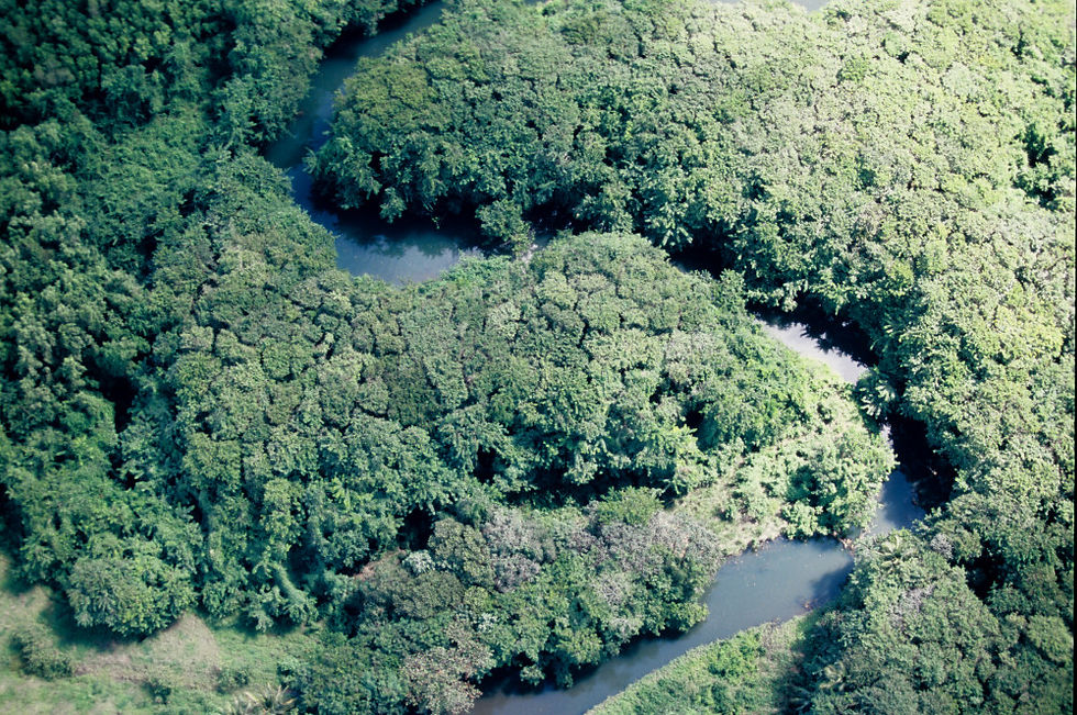 GUADELOUPE_-_Vue_Aérienne_(19)