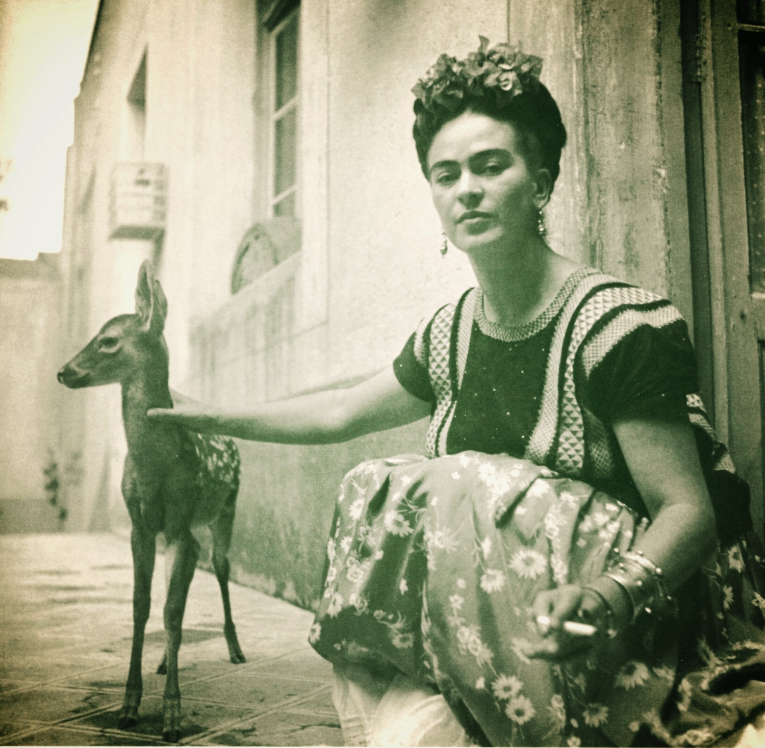 frida_edited_edited