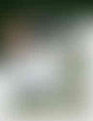 LMDNeedmoreAdv_Fall2025