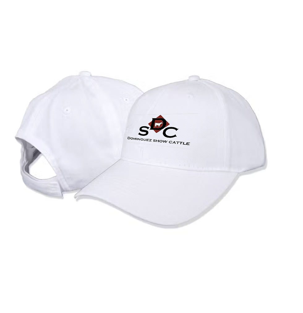 DSCWhiteHat.png