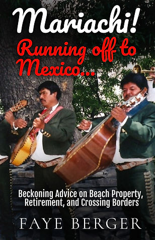 faye front cover only 06012022.jpg