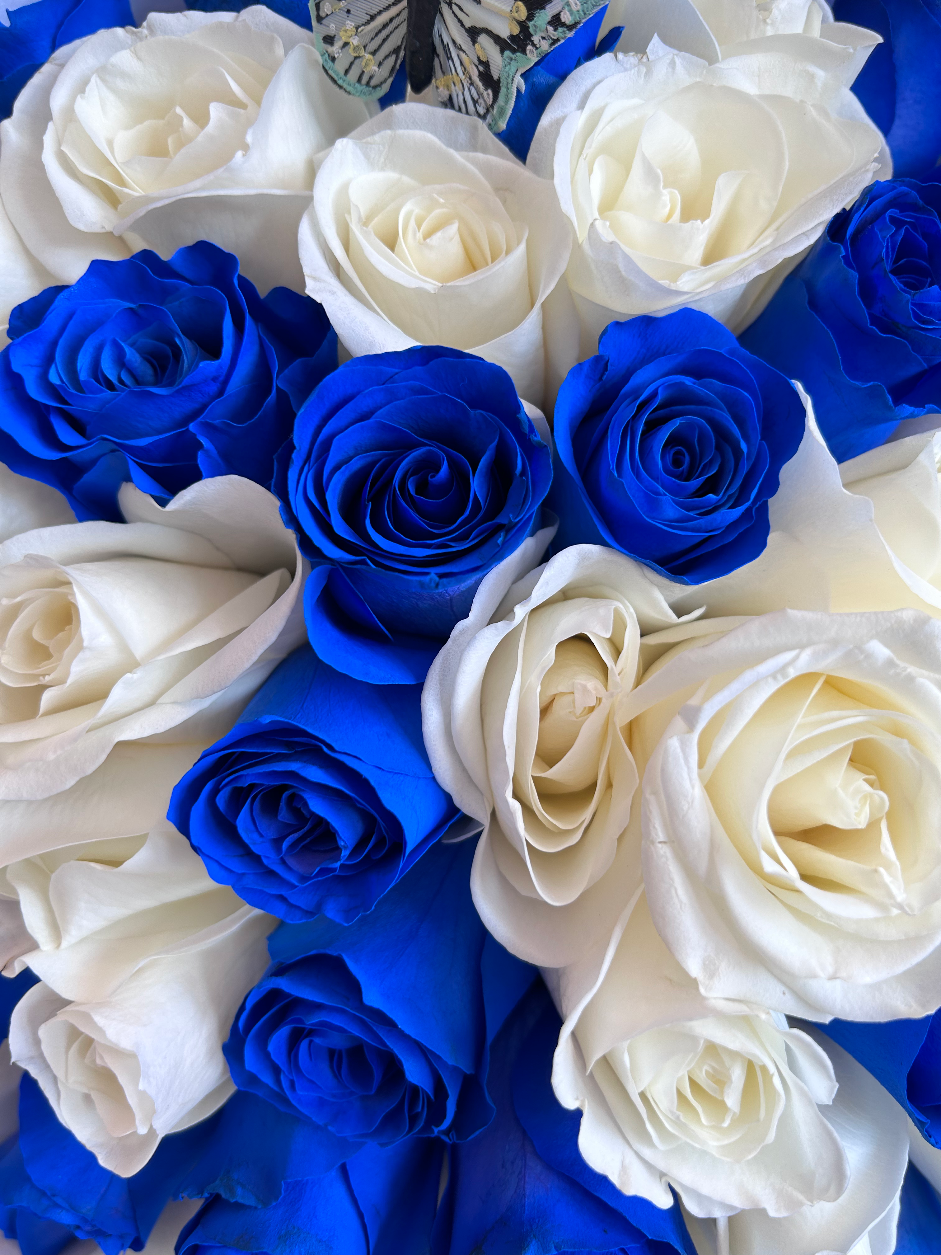 Blue + White Roses  wrapped