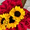 Thumbnail: Sunny Heart