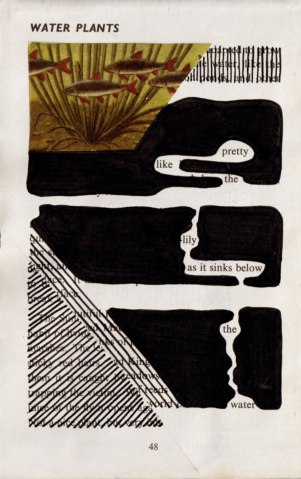 25. Water Plants