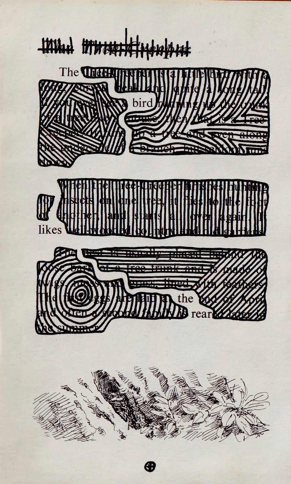 14. The Rear