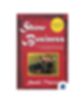 cahsflow quadrant.jpg