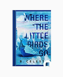 Where The Little Birds Go by B. Celeste book cover on Bookdio.org