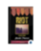 cahsflow quadrant.jpg