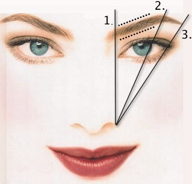 The Beauty Bar - Blog: Perfect Eyebrow Shape