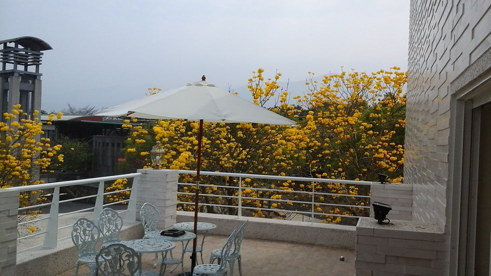 20150307_104748.jpg