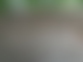 Are We Living in a Post-Climate World?