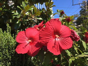 Two Things I’ve Learned In My First Two Years in Business