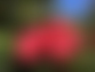 Two Things I’ve Learned In My First Two Years in Business