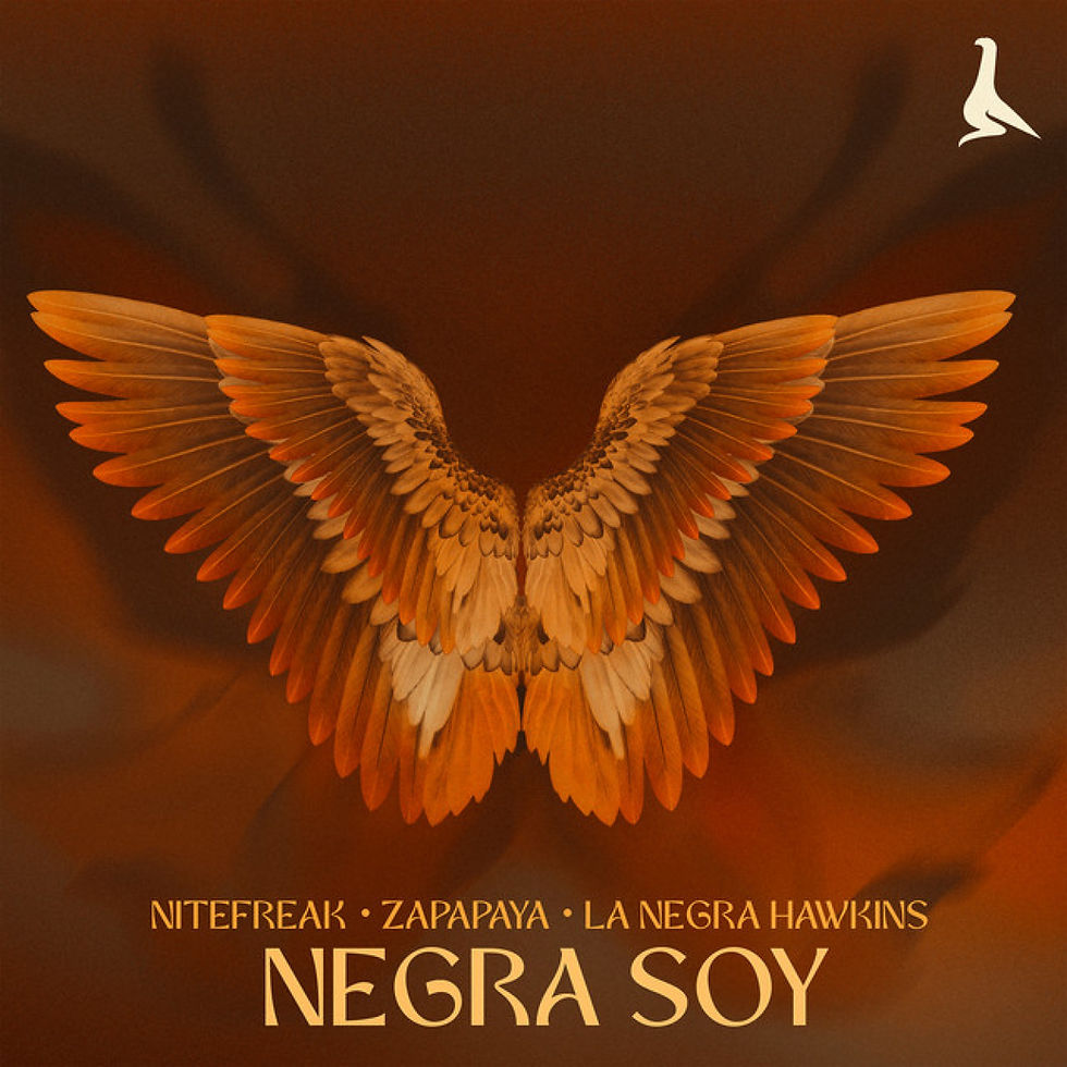 spotify-artwork-negra-soy-3000x3000