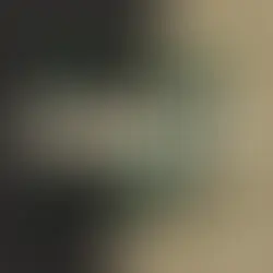 Mozzy Rekorder – Animals EP [Electropical Record]